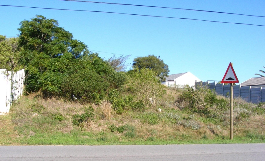 0 Bedroom Property for Sale in Paradise Beach Eastern Cape